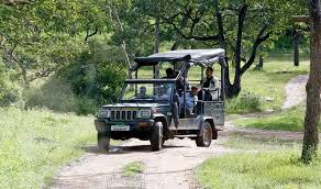 COORG JEEP SAFARI (KARNATAKA) 2025
